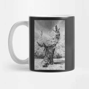 Mono Sandringham #1 Mug